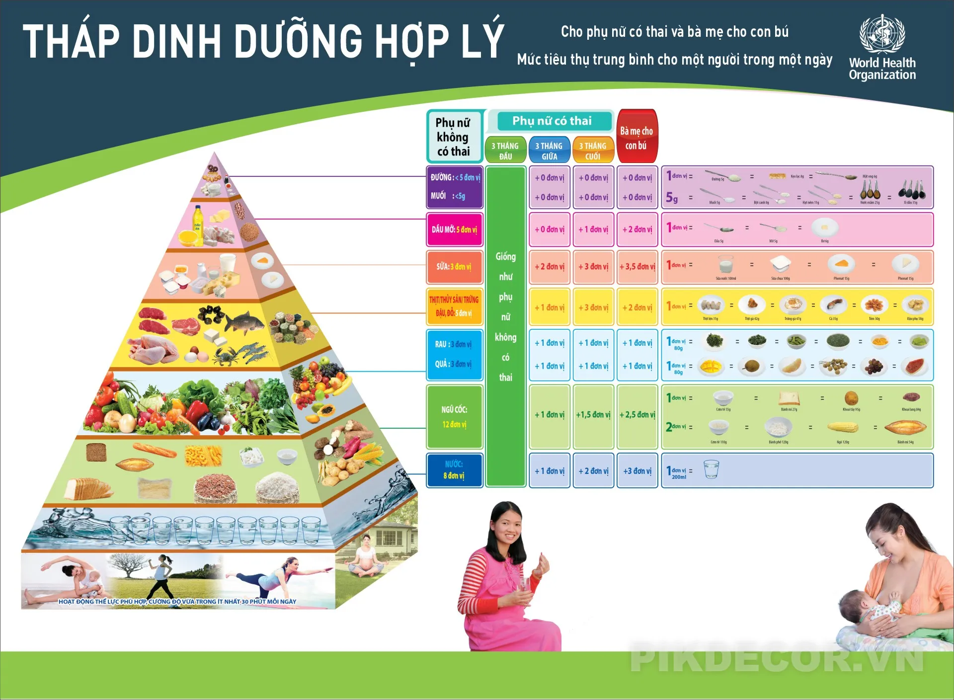 Mẫu Tháp Dinh Dưỡng